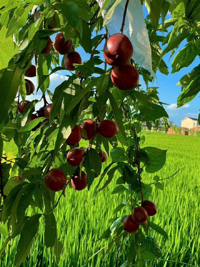 盛夏光年 