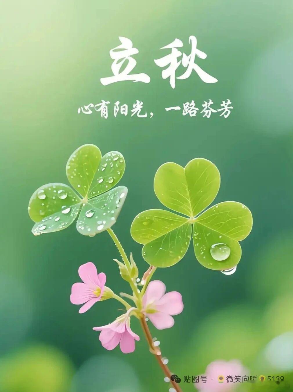 工作时，和比自己更成功的人在一起。玩耍时，比自己更快乐的人在一起。——《纳瓦尔宝
