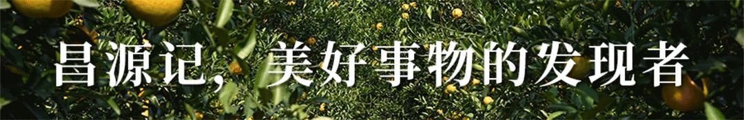 以时间陈化价值，以向善丰盈商业｜昌源记荣获CFS双奖背后的三个真相
7月底，昌源