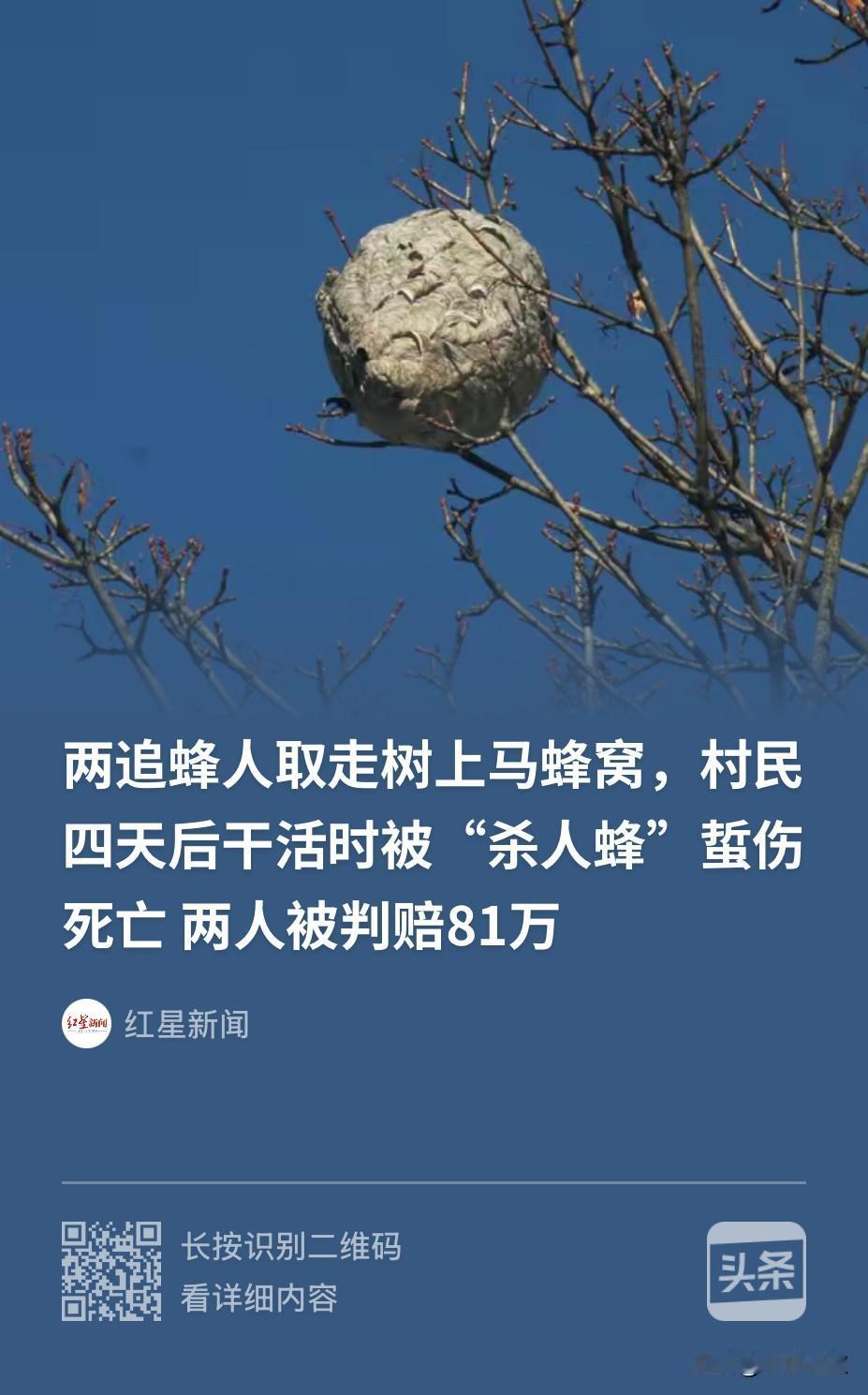 贵州遵义，两男子来到一处茶园，随后便穿戴好防备衣物后，捅了一个马蜂窝便将其装进麻