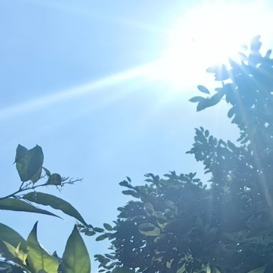 每日一善 耕耘收获，天道酬勤!人生只要努力，就会有希望。永远不要说‘不’，要知难