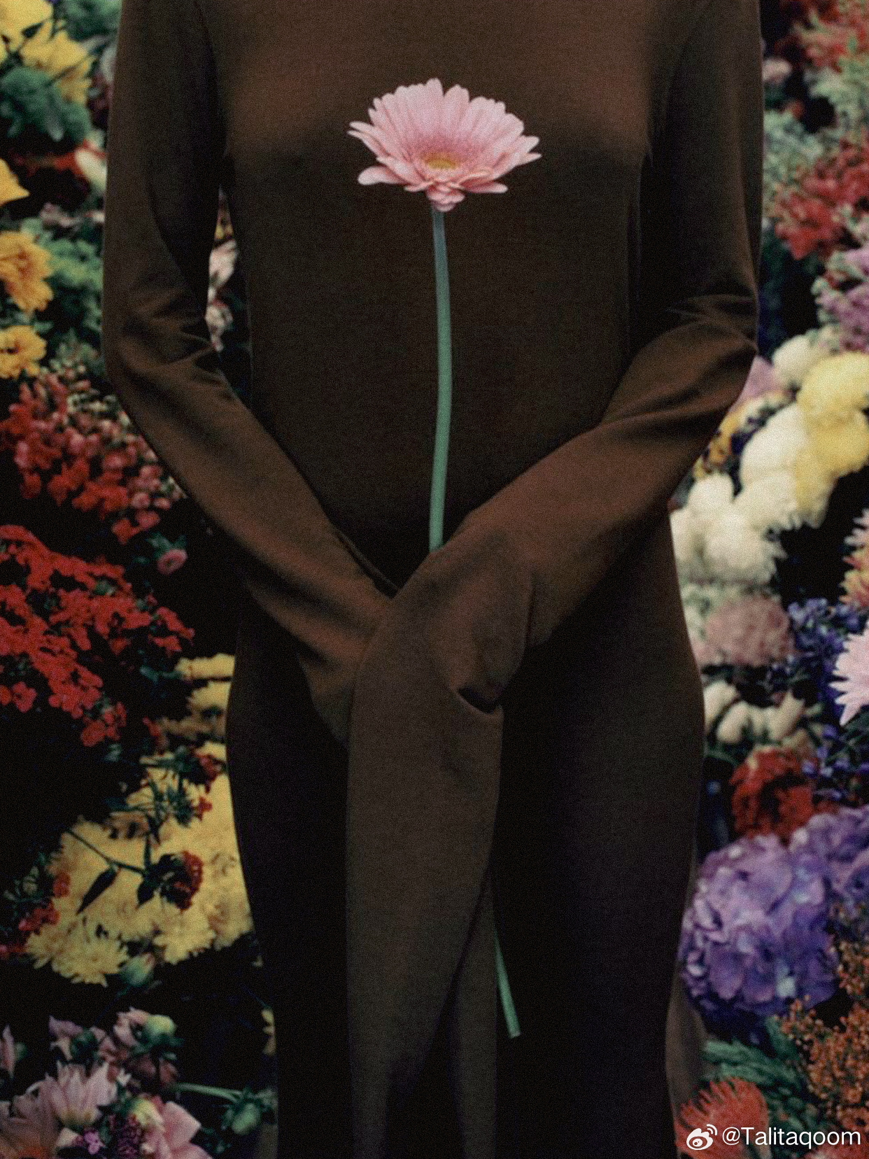 tq | Floral Mood色彩与氛围的灵感源头via:Pinterestt