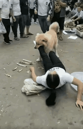 不懂就问，
这个是AI吗？
看着很真实。
