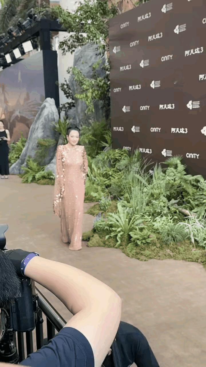 章子怡穿着披肩长裙，头发高高挽起，走路的时候端着肩膀，本来想突出她的霸气和傲气，