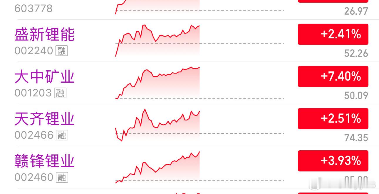 光退锂进，时间会证明锂矿 
