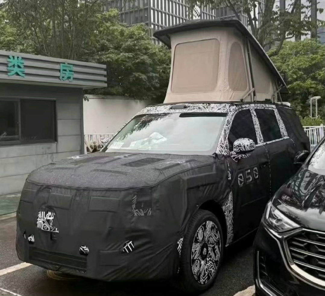 请问小米这个顶棚是标配还是选配呀？ ps 网图侵删 
