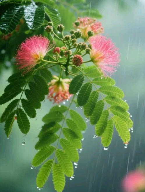 最耗感情的，从来不是吵架而是冷战
 
冷战是无声的消耗战，比大吵大闹更伤人心，沉