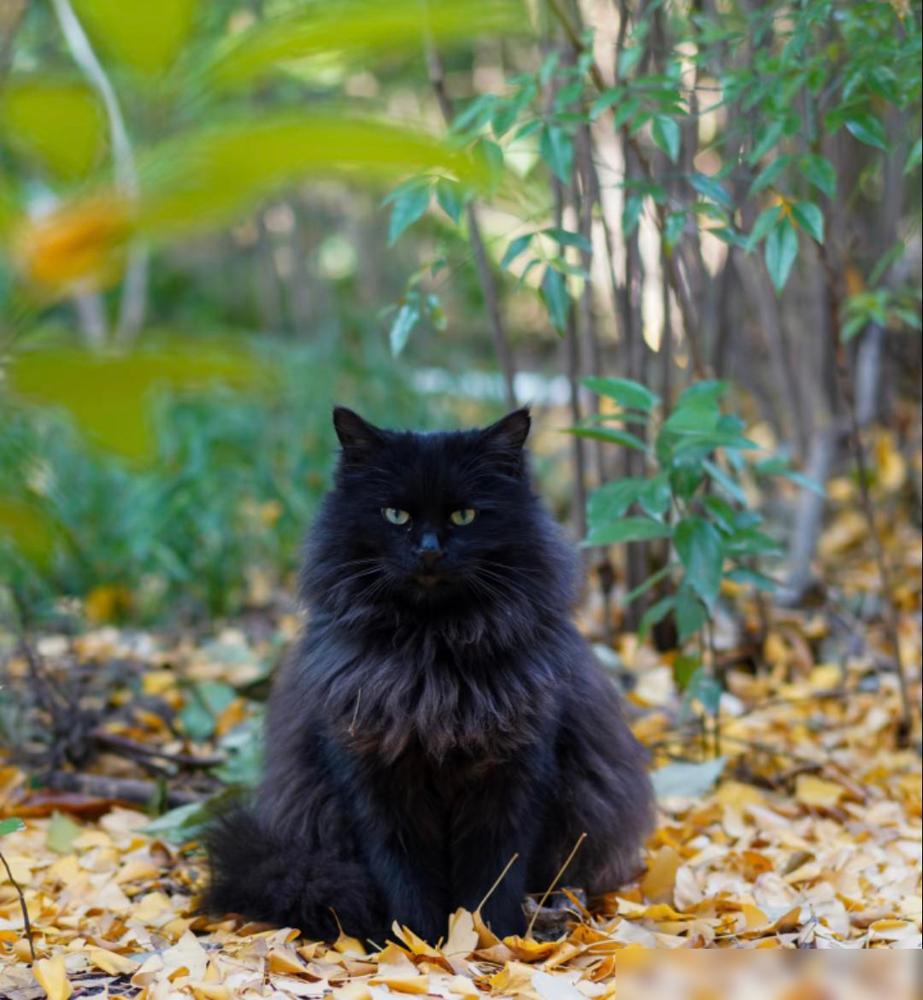 女人默许“发生关系”，往往不会明说，但这些“信号”很明显，

其实男女交往中，那