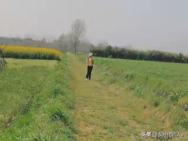 不是迷信！老人说最怕“正月十七下大雨”，正月十七下雨啥预兆？
 
在中华传统文化