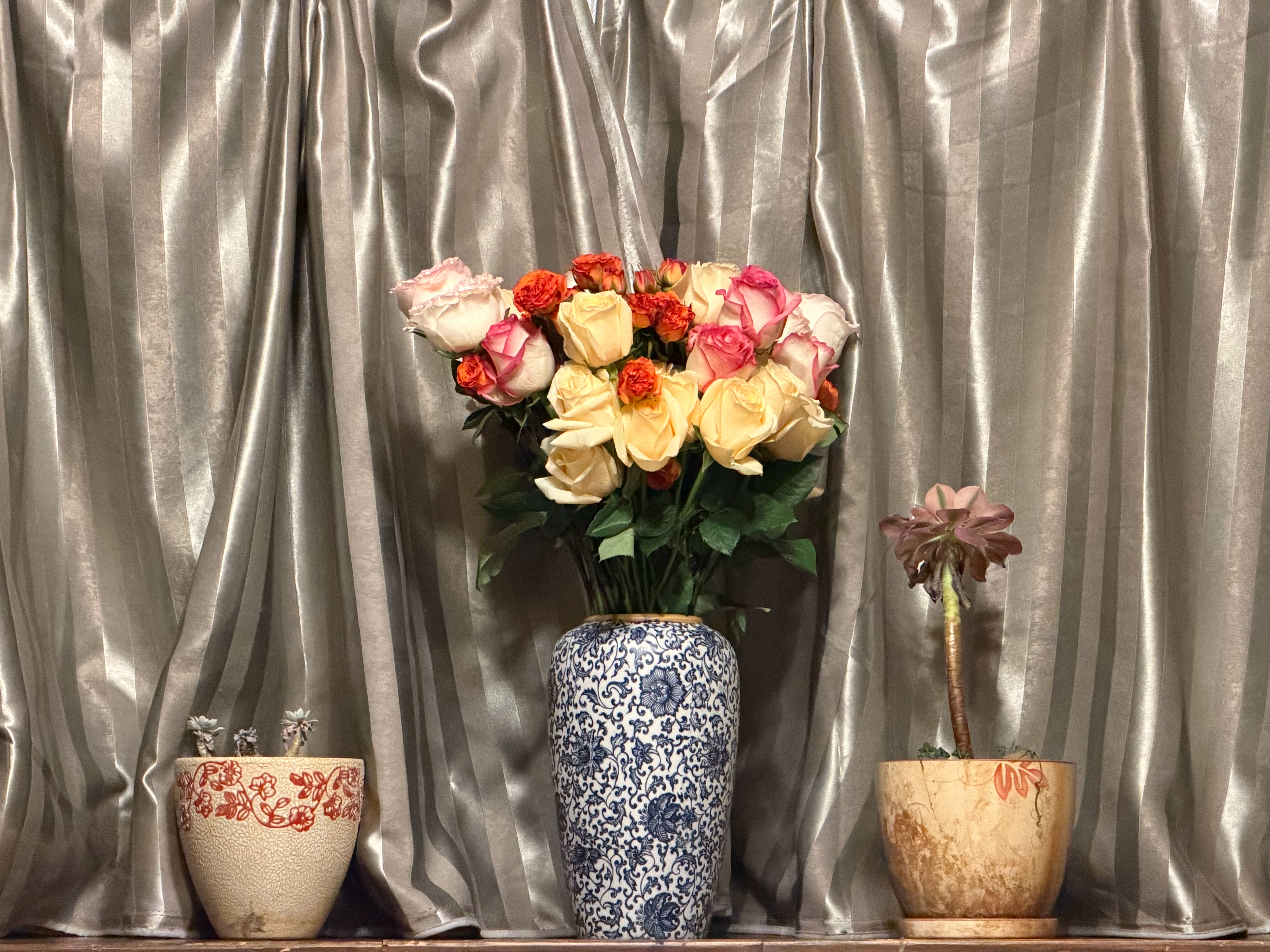 人天生就会对各种各样的东西成瘾，对手机成瘾，对某个人、某件事带给自己的快乐成瘾，