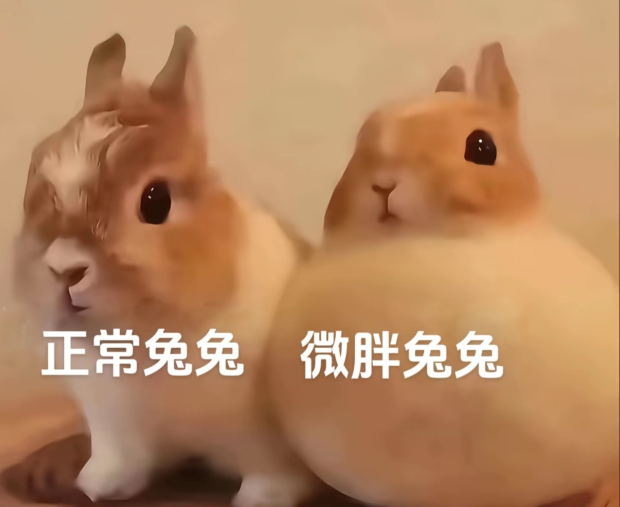 对佣兵玩偶服观后感： 