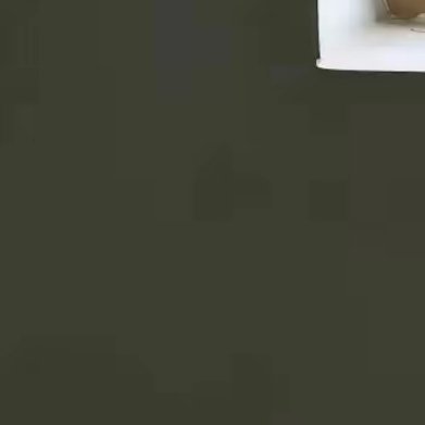 一念秋风起，一念清思长。竹帘半卷染轻寒，荻花摇雪映疏窗。淡淡云，雁裁衣，星子坠满