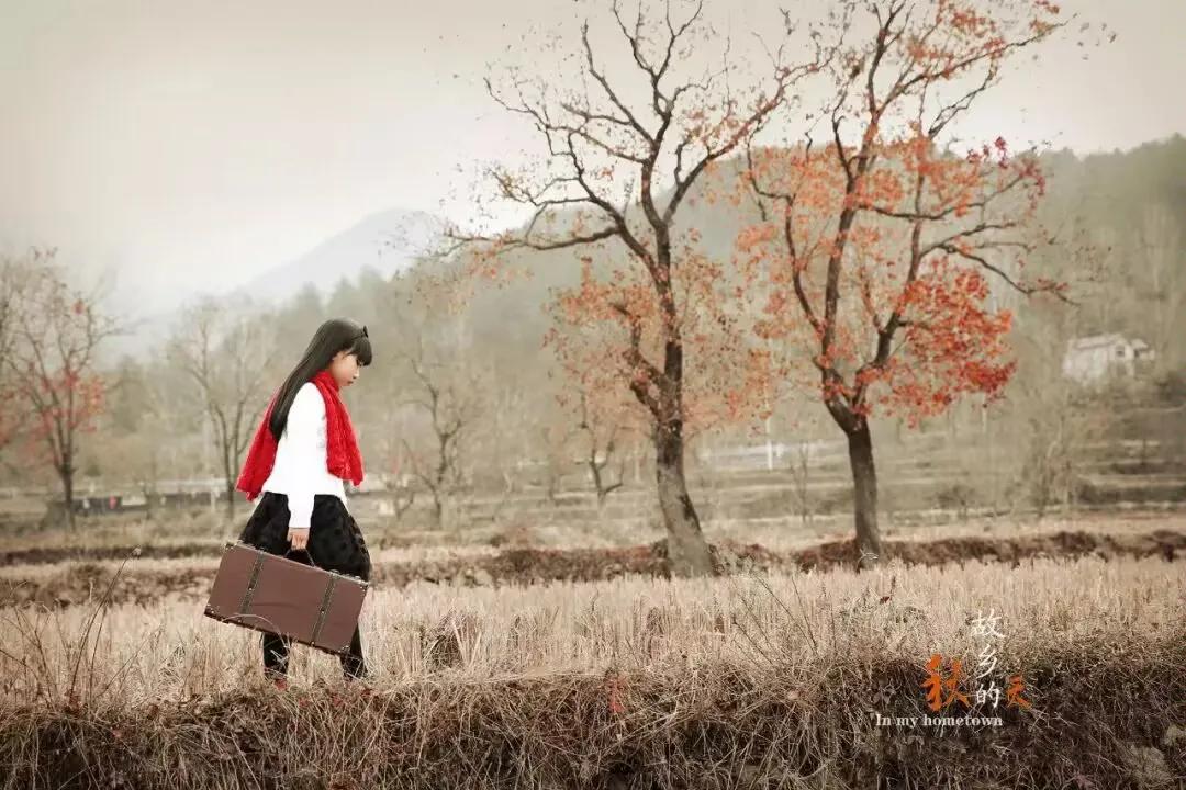 《摇曳的秋》
　　
摇曳的秋，独处在相思的枝头
一只折翼的小鸟
傻傻地
听着变调