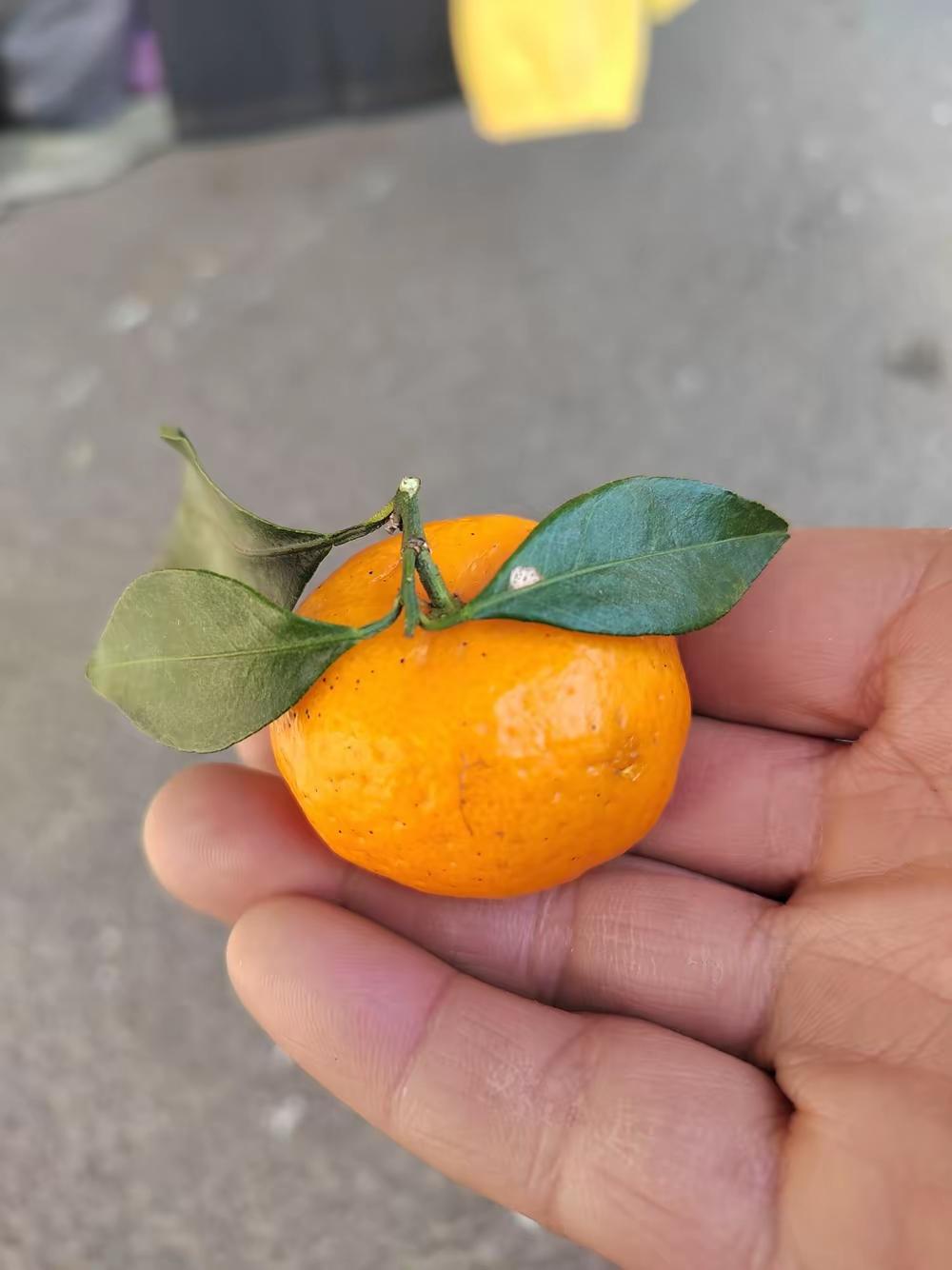 留意了好一阵子，在今日头条这个平台上想让文章被更多人看到、流量更好，关键就在于一