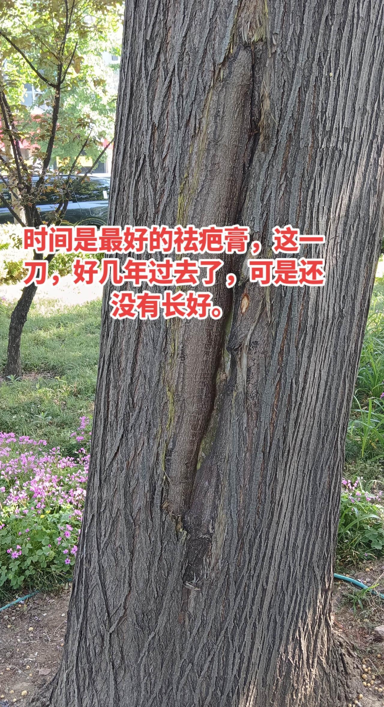 时间能让人忘记过去吗？