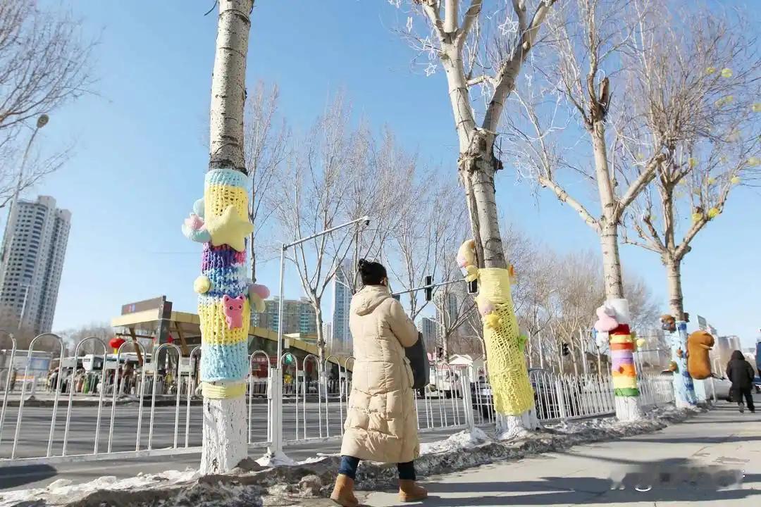 【沈阳：仪式感拉满 大寒时节树木添“新衣”】

有一种美好叫辽宁 辽宁好网民引领