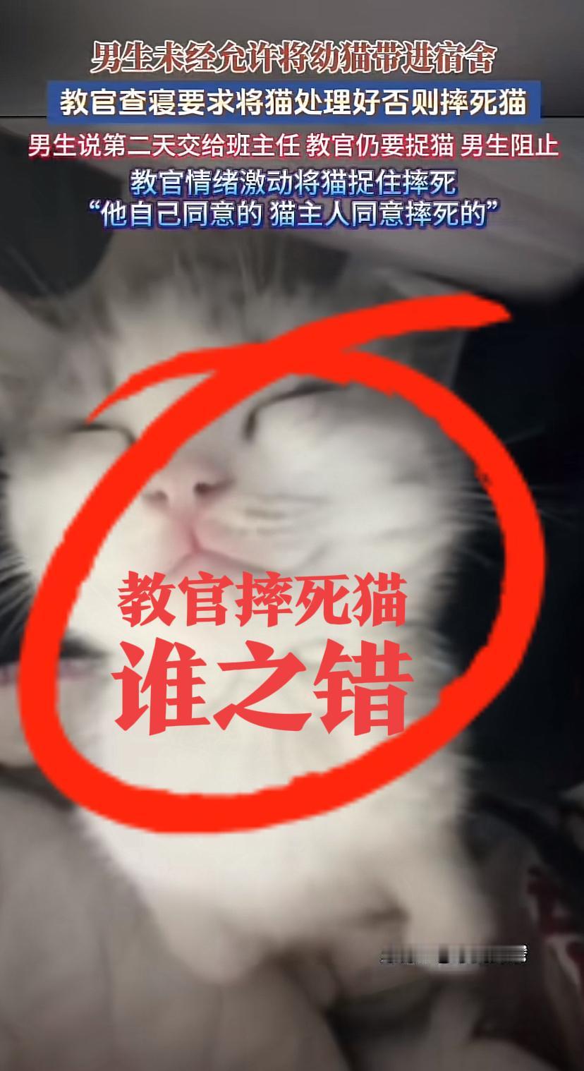 湖南湘西一职业技术学院教官“摔死猫”，反转来了。学生疯狂挑衅教官，连说40多次“