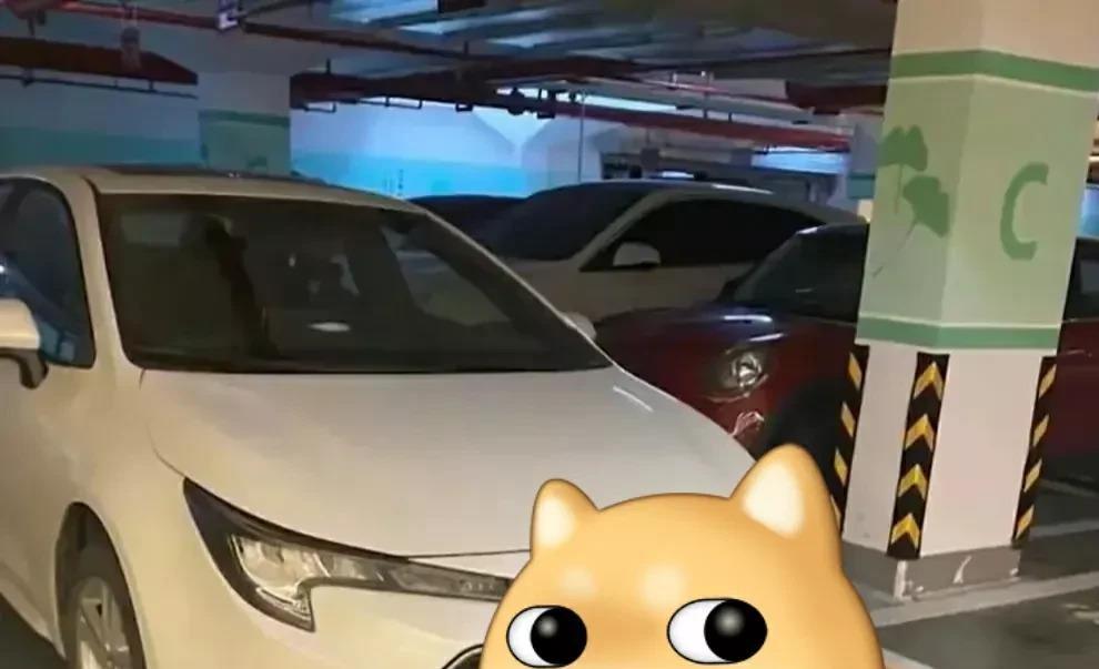 刘芸回家发现车位被占，打电话让车主李琴挪车，结果李琴不配合，还带人来骂街。刘芸报