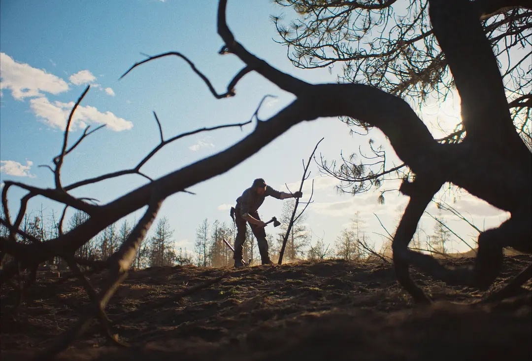 《火车梦》为什么拿不到最佳摄影呢？2026奥斯卡获奖名单