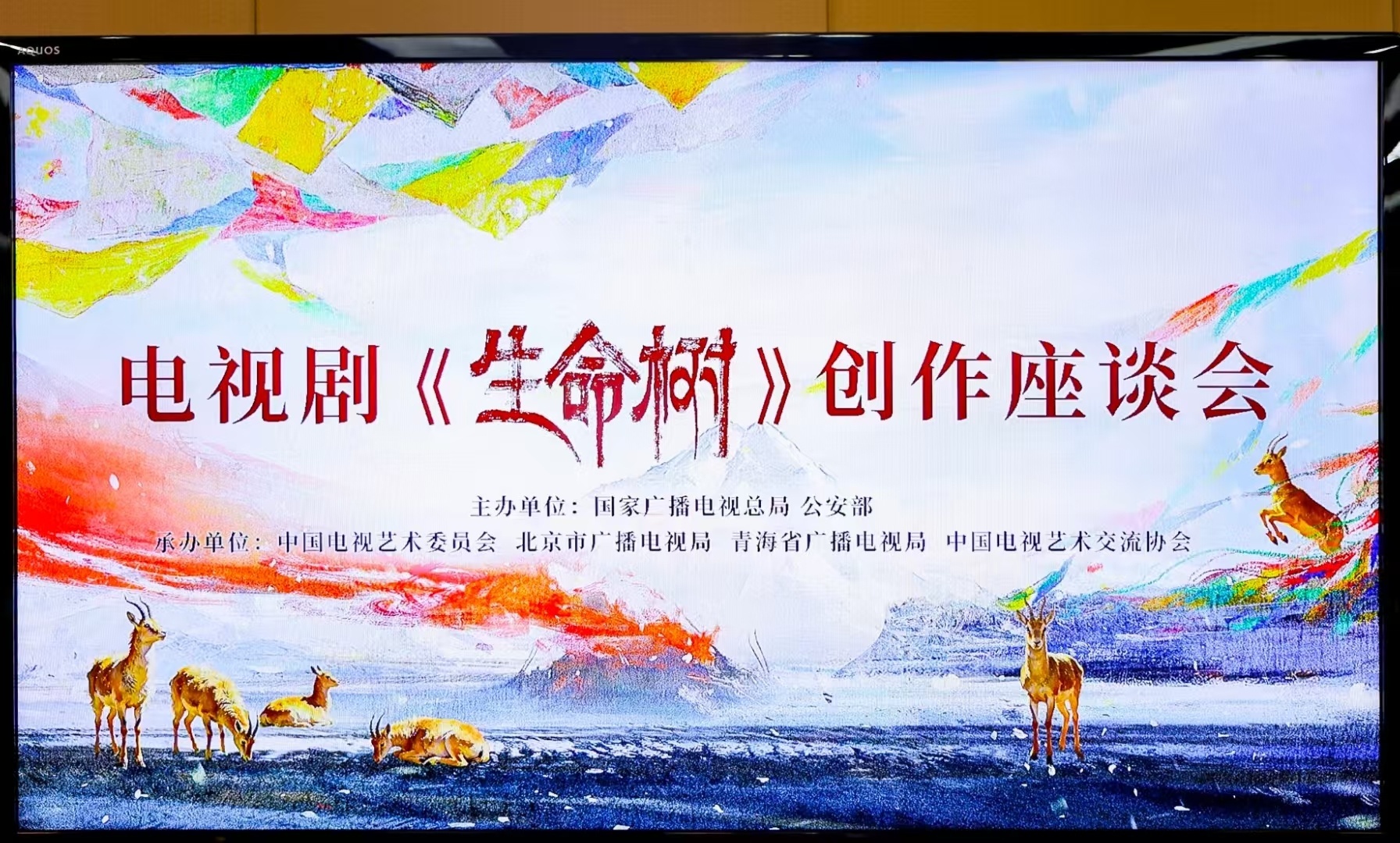 从《要久久爱》到登顶《生命树》，座谈会规格一路层层跃升，一部更比一部重磅。杨紫步