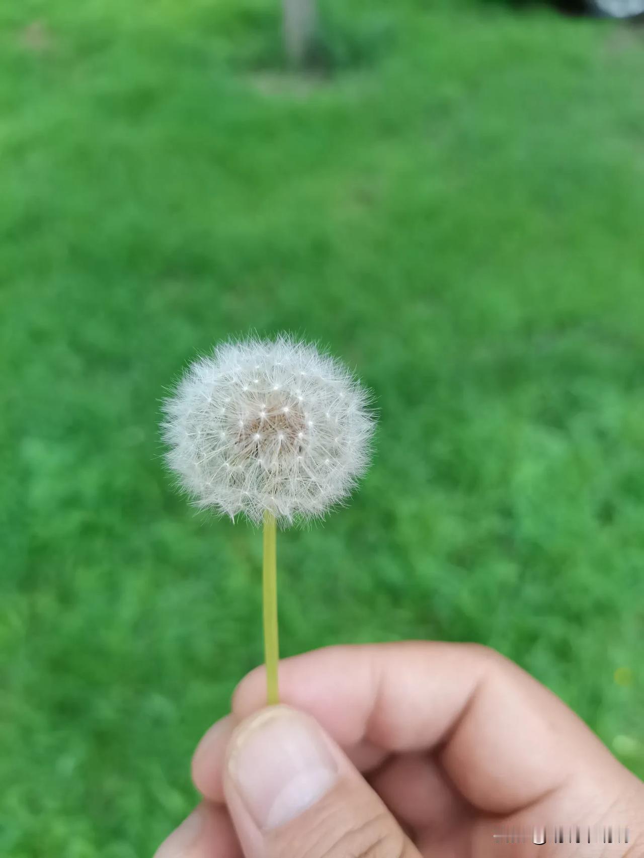 又快到农历“七月十五”了，七月十五这一天俗称“中元节”，在这一天要给逝去的亲人烧
