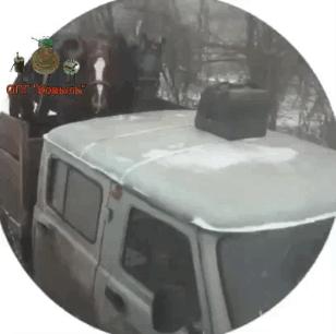 *俄军正在将战马源源不断送前线，既能解决机动问题，又能补给口粮，一举两得，仿佛回