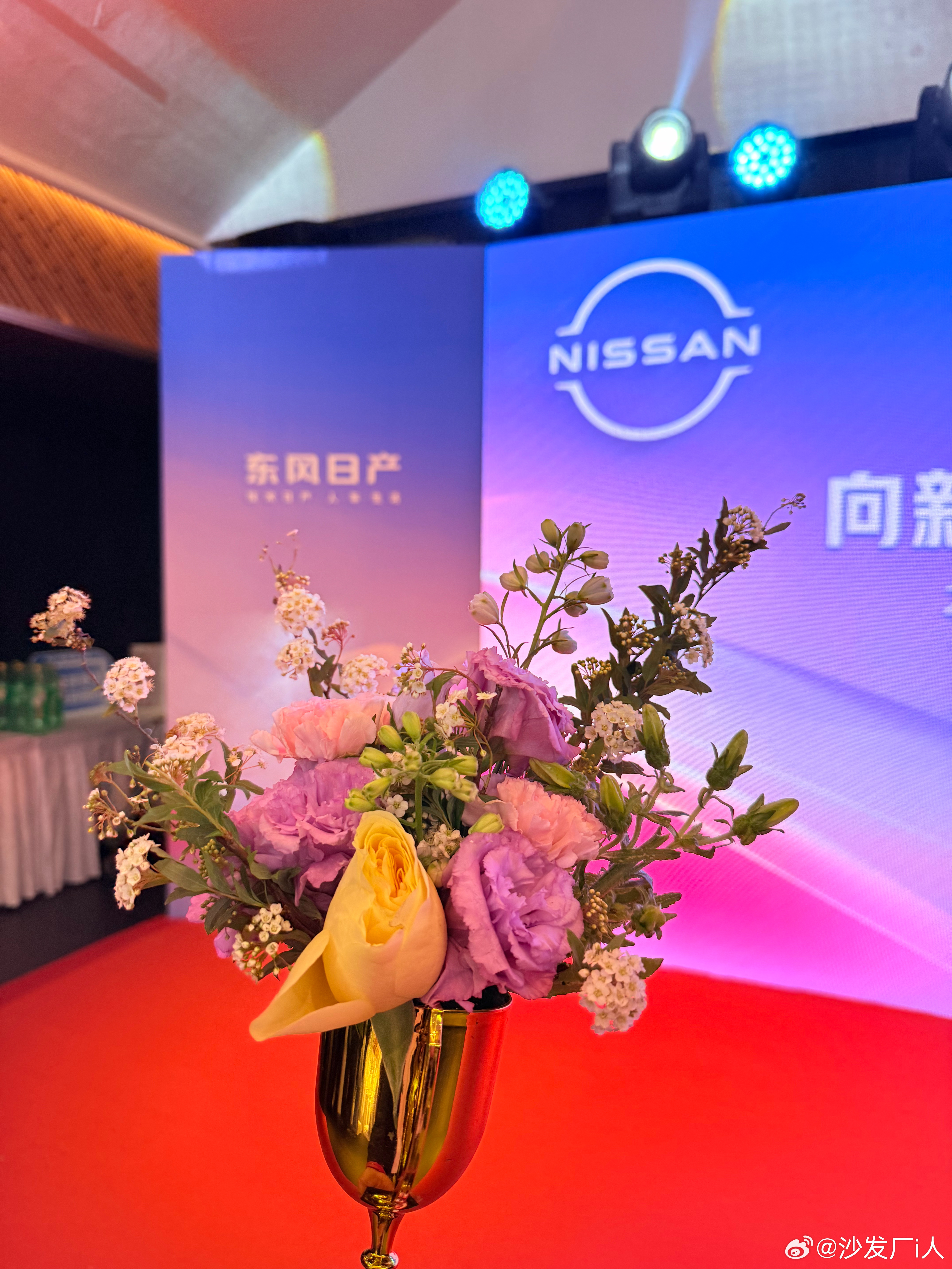 女神杯！女神节快乐！ 