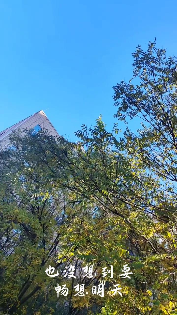 勿看到二五年。
忽然看到二五年有些被吓到，二四年没顾上回顾过去，也没想到要畅想明