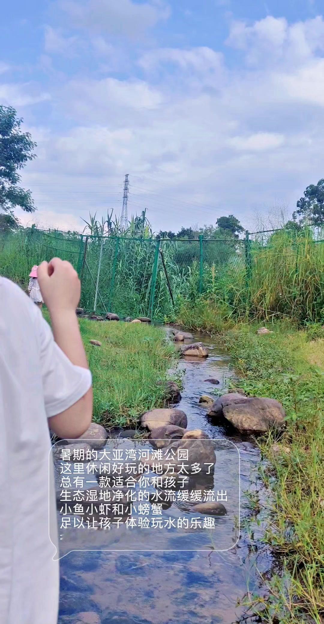 暑假带娃去了大亚湾河滩湿地公园，这里简直是孩子的快乐天堂！

1️⃣生态玩水区：