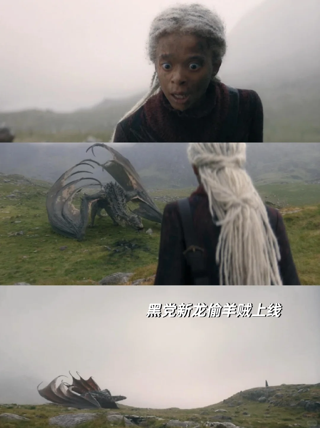 偷羊贼这条线，我真的不能接受
