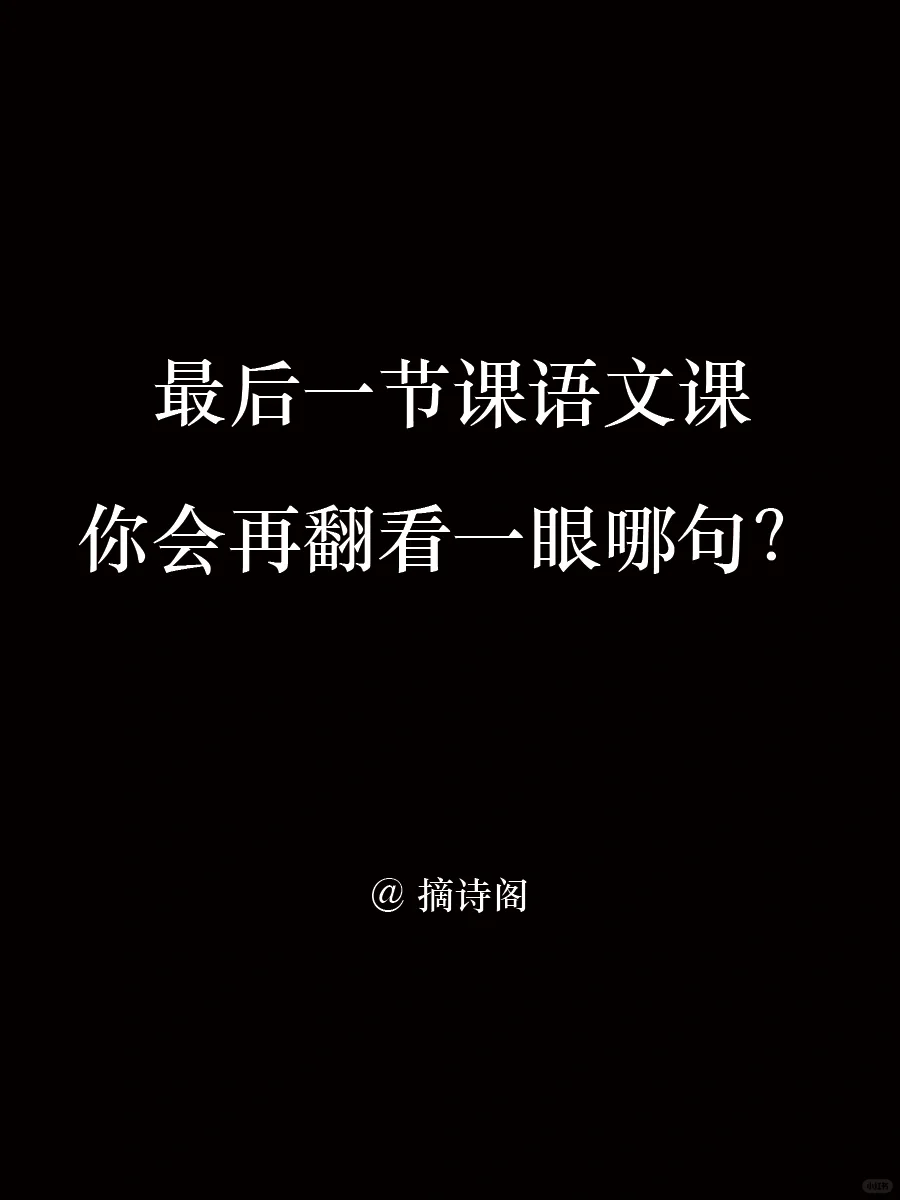最后一节语文课，你会再翻看一眼哪句？