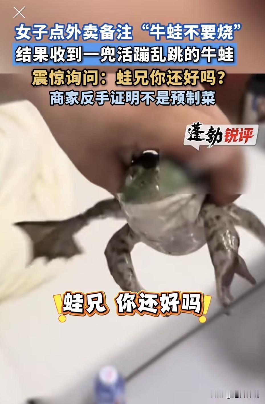 女子点外卖备注“牛蛙不要烧”，店家直接送来活蹦乱跳的蛙！女子懵了：蛙兄你还好吗？