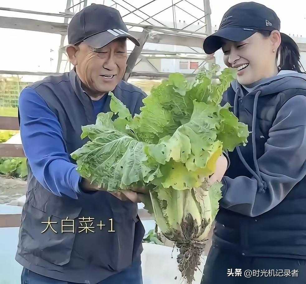 梅婷真是好事多磨，经历了几段婚姻和恋情后，如今也是踏实的有了家，梅婷也是孝顺老人