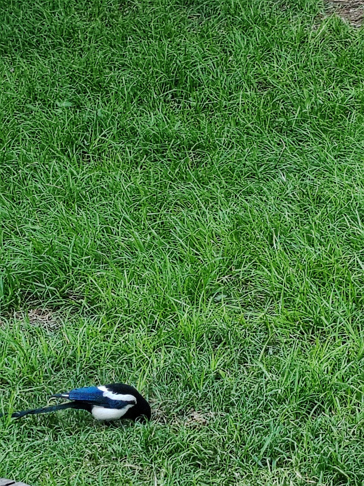 分享一张你的随手拍