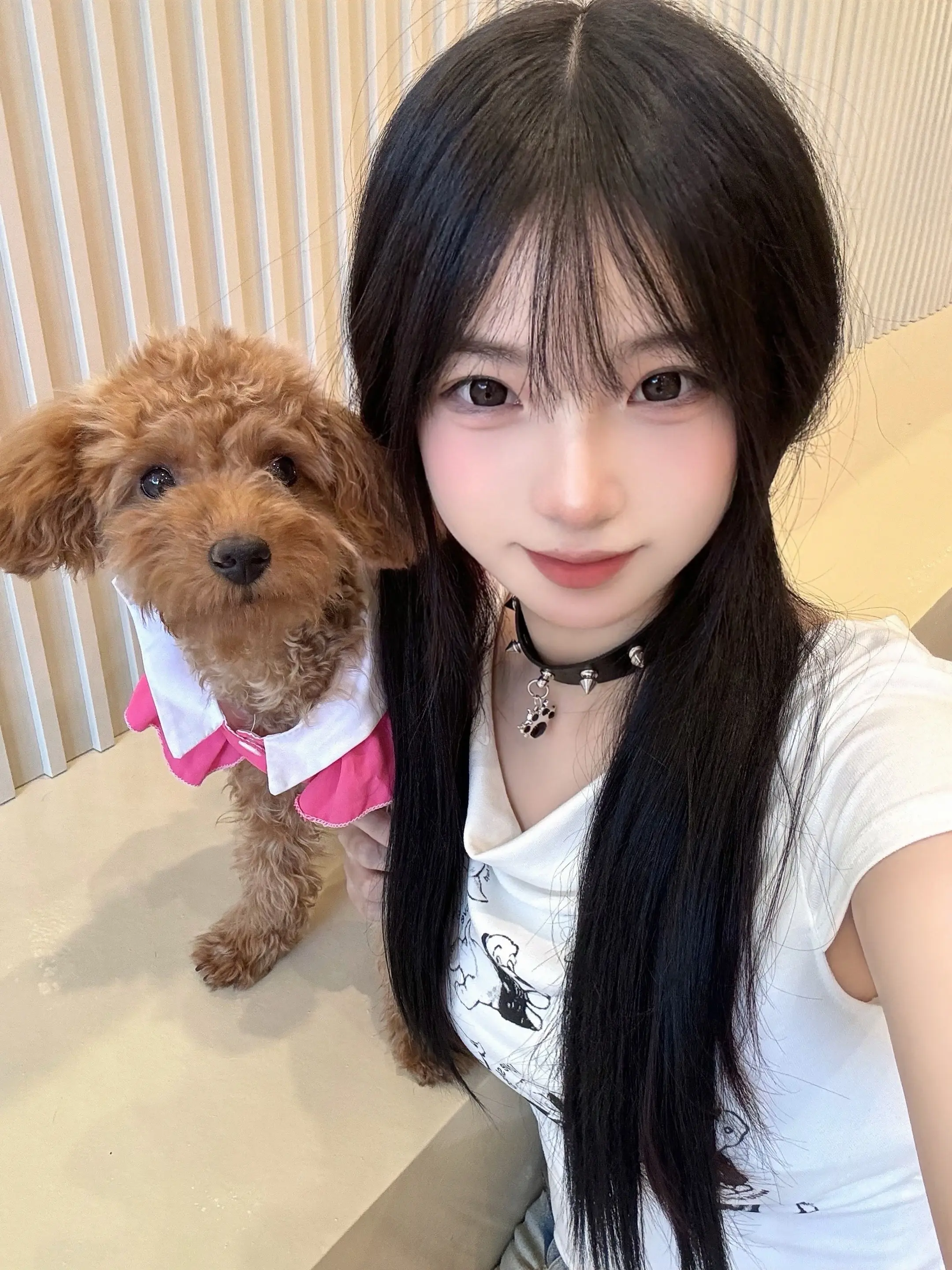 你哄哄我我哄哄你 我们就这样喵喵咪咪汪汪嗷嗷在一起一辈子