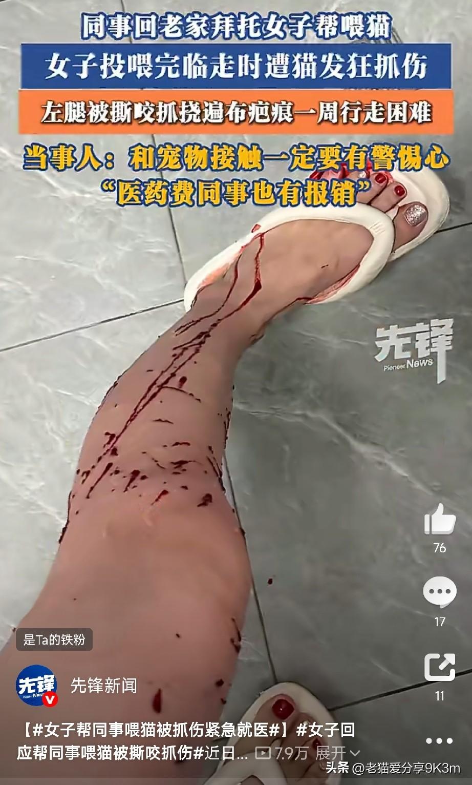 这忙以后还敢帮吗？

海南三亚的黄女士，好心帮同事上门喂猫，结果临走时猫咪突然“