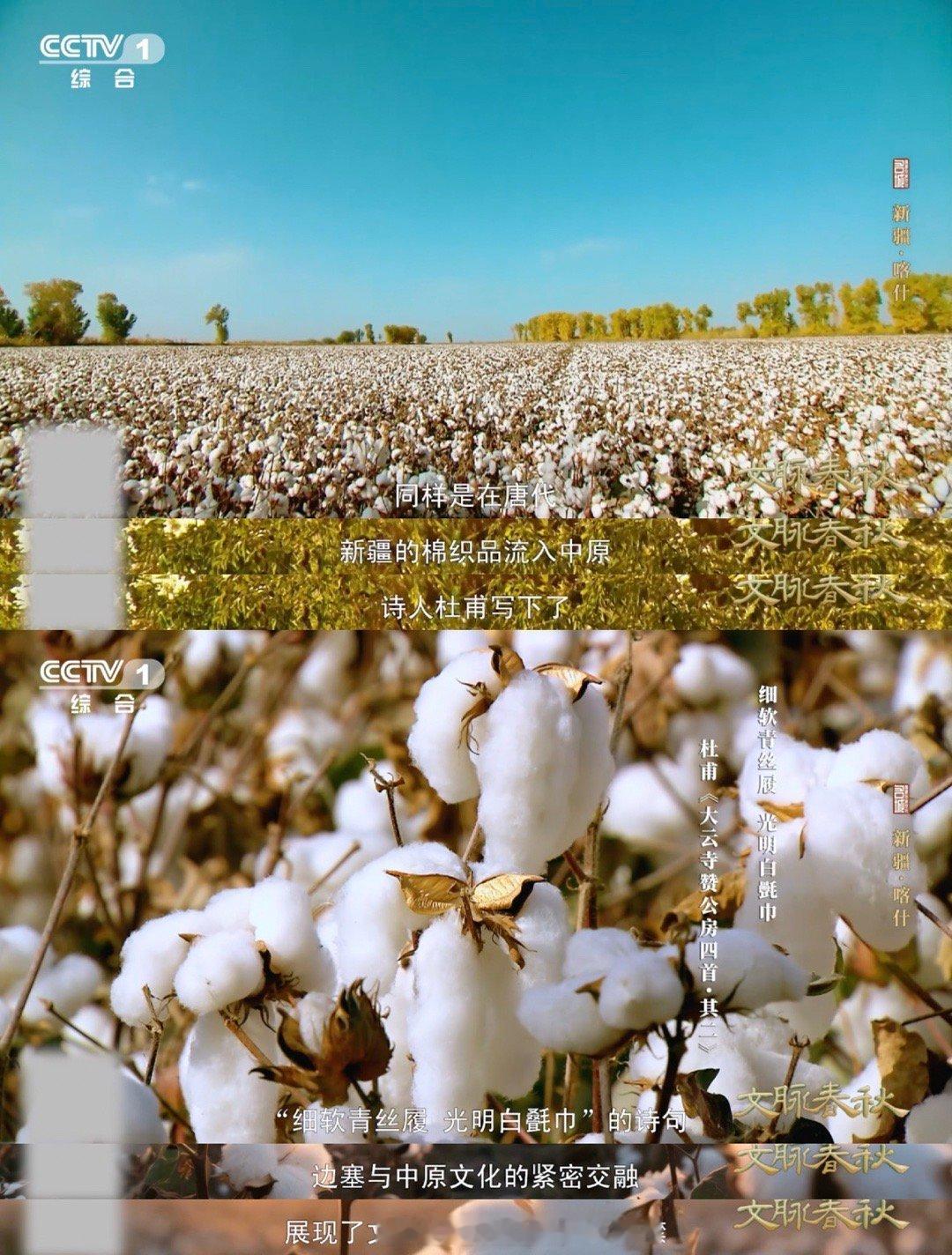 杜甫对新疆的棉织品赞不绝口唐代公主头顶高冠中藏蚕种 “光明白㲲巾”，杜甫用五个字