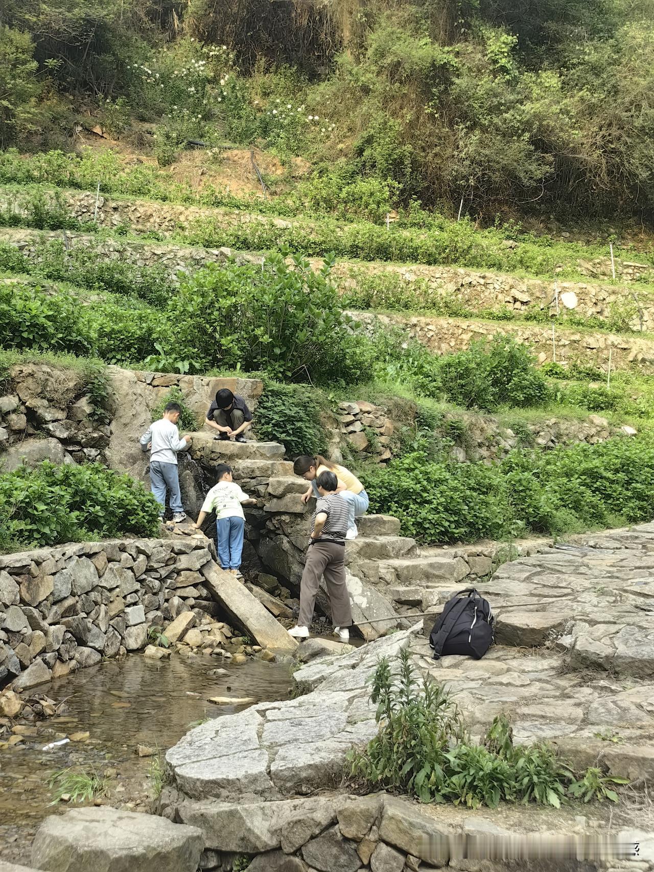 年过六十，最幸福的时光，就是暑假带着孙子爬鼓岭
 
一晃就六十多岁了，大半辈子忙