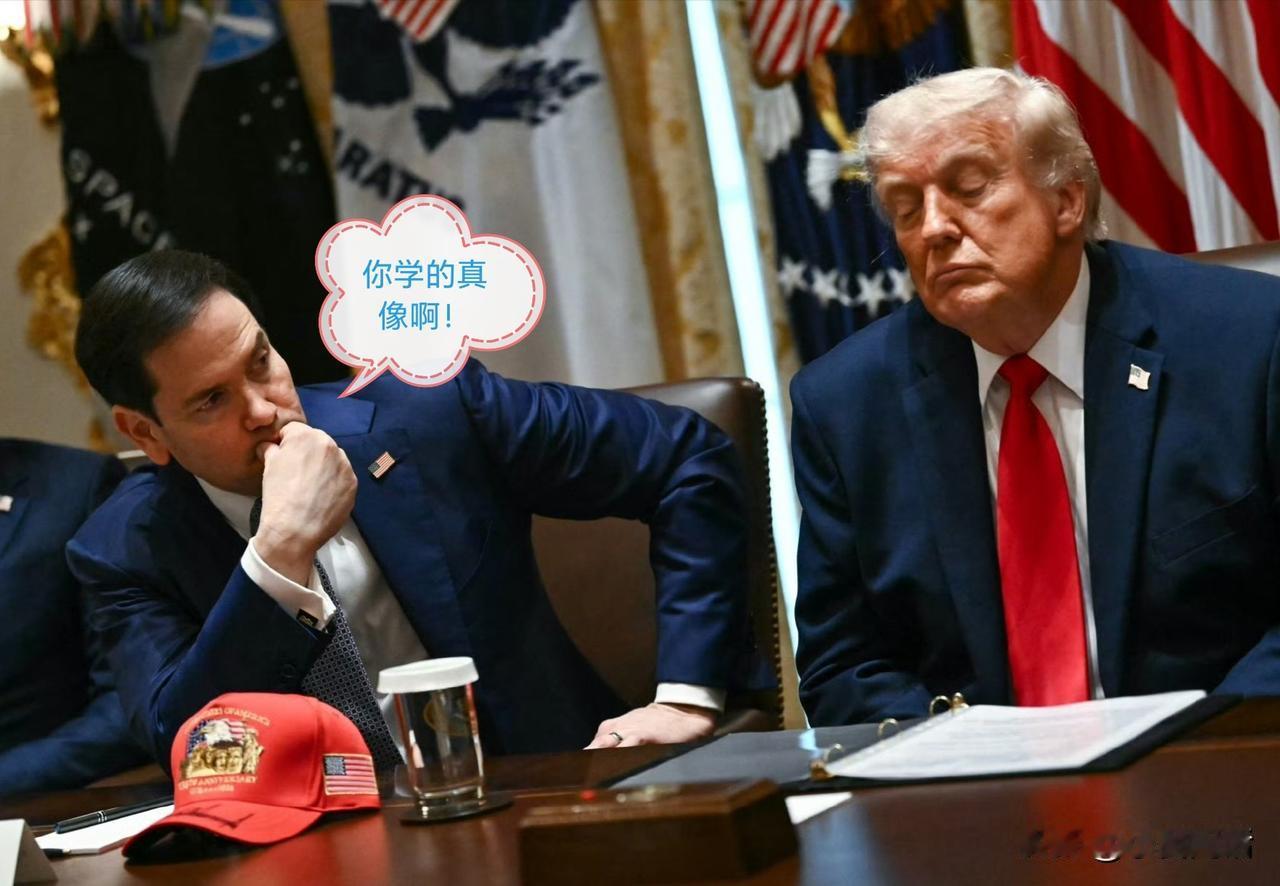 特朗普在内阁会议期间的“精彩表演”！正应了那句话：笑话人不如人啊！[捂脸]