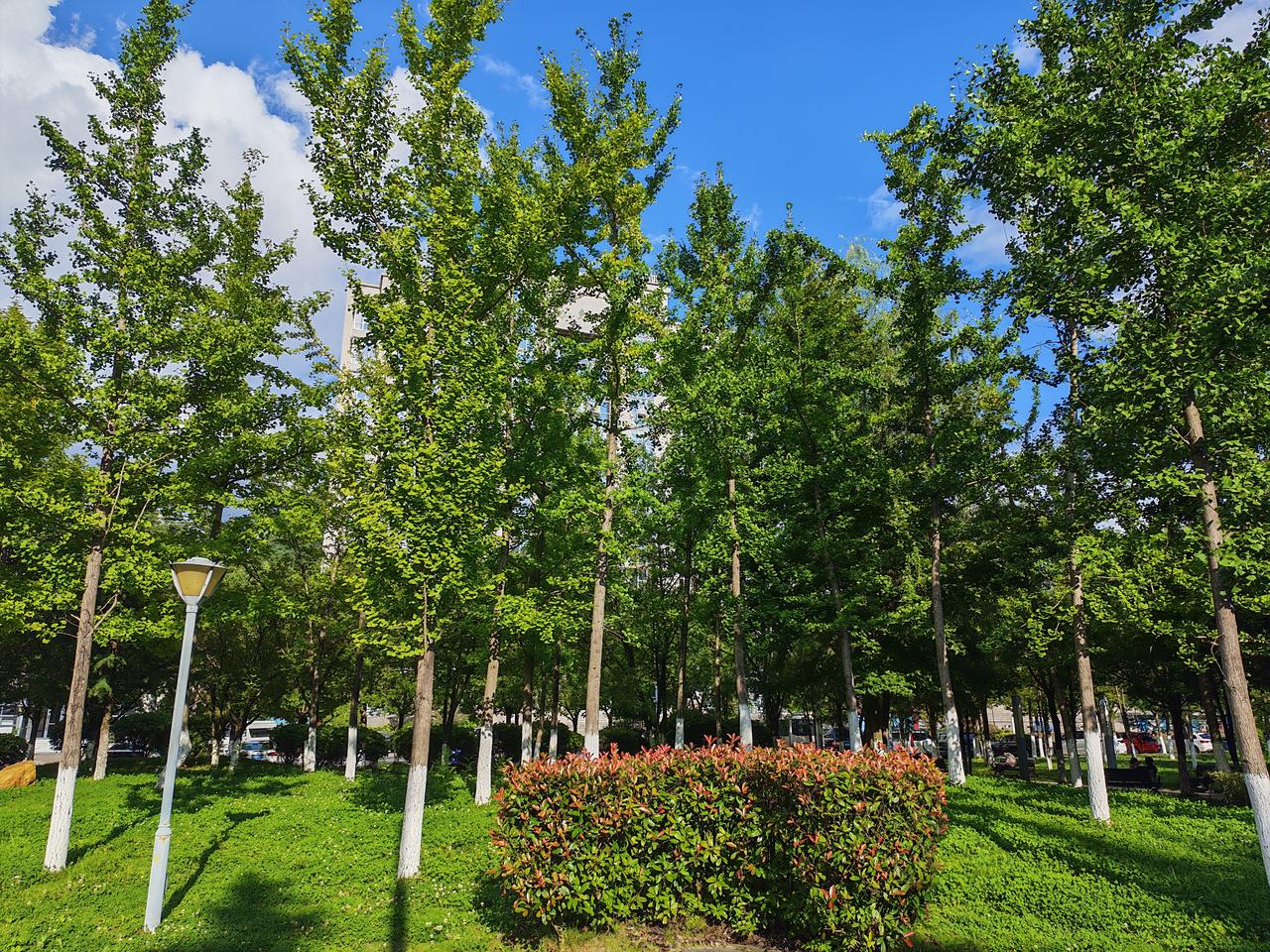 快到年关了，欠债人要紧紧的捏紧手里的救命钱，别被那些催债的电话吓住。
   只有