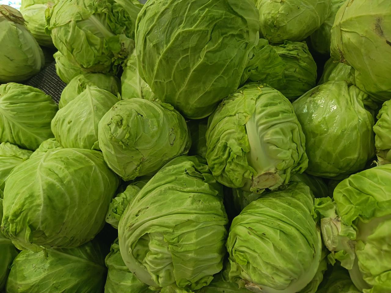我往菜摊前一扎，大嗓门喊：“老板！这圆白菜够水灵啊，跟刚从地里蹦出来似的！”
老
