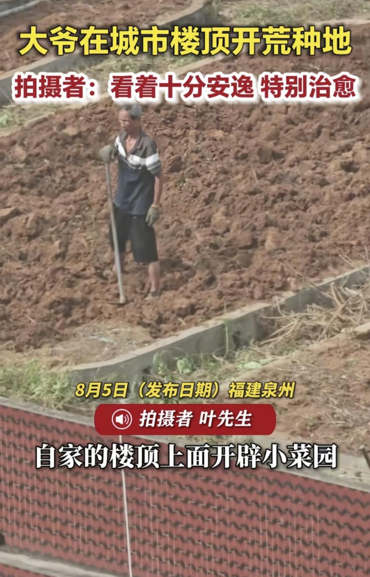 好好的楼顶改成菜园，泥土压着楼板、泡着防水层，图个种菜的乐趣，风险该谁承担？