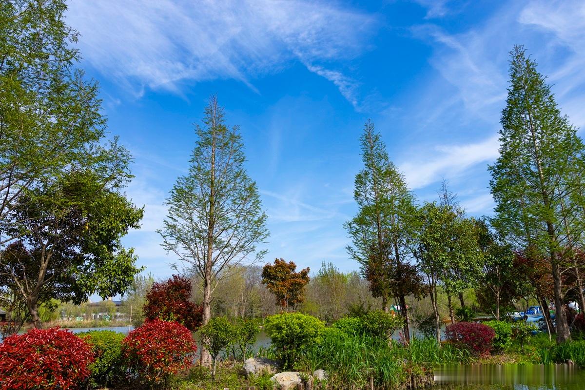 【多份公司章程，以哪份为准？｜“内外有别”的解决法则】现实中，公司常出现多份章程