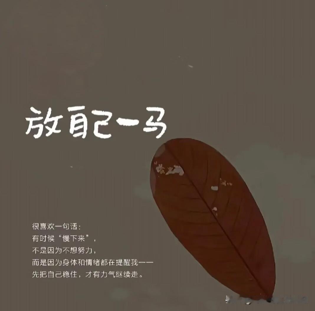 放空
并非逃避
只为更好出发
嘈杂之中
留一点静谧给自己
待心休憩充足
再从容赶