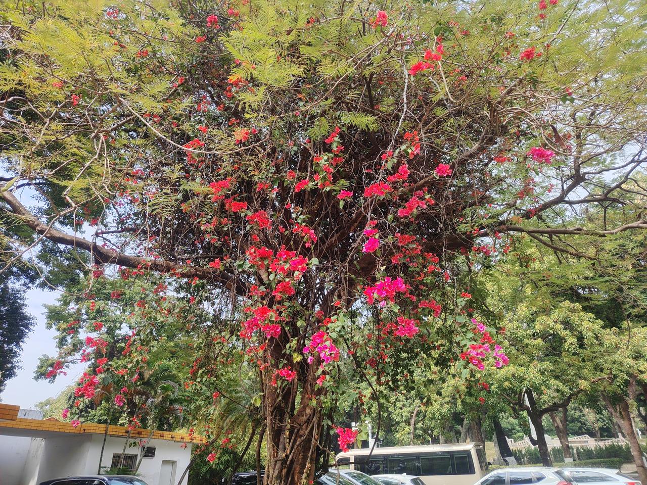 你会在退休后把存款交给子女吗不会。退休了，说明人到老年了，攒钱的能力下降了，身体