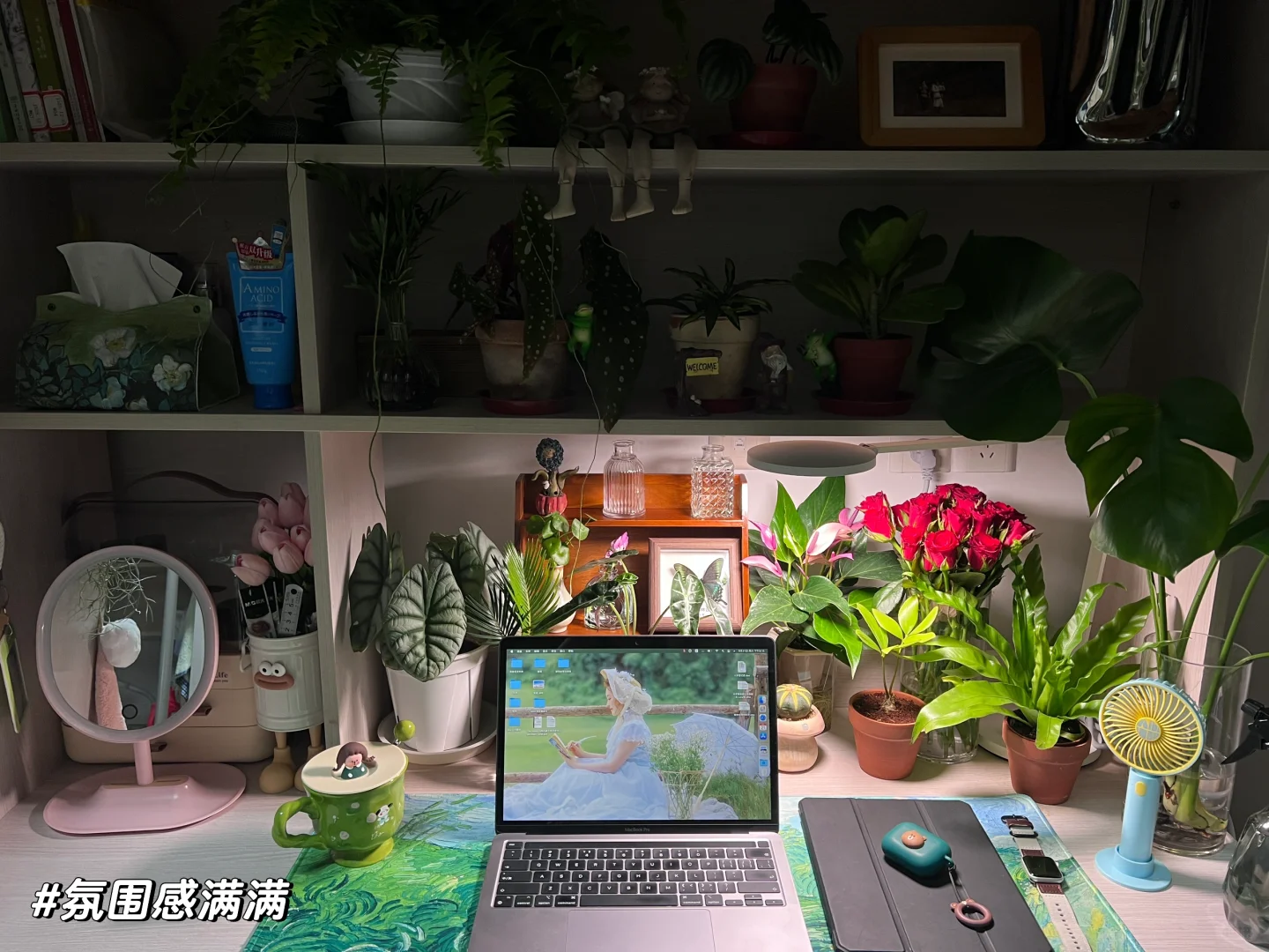 宿舍书桌改造：我的森系氧吧～