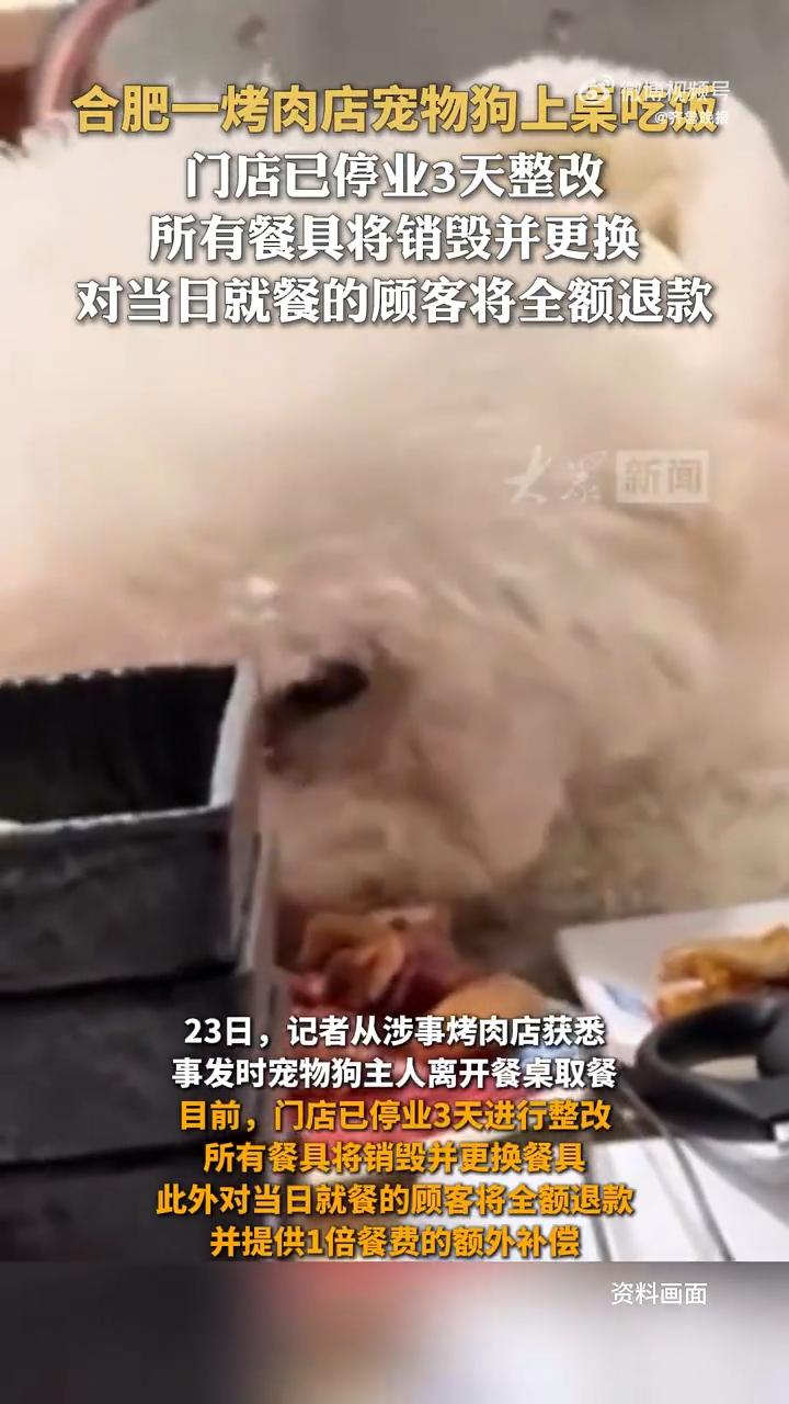 最近，安徽合肥一家烤肉店里发生了一件让人看了直摇头的事，很快就成了大家讨论的焦点