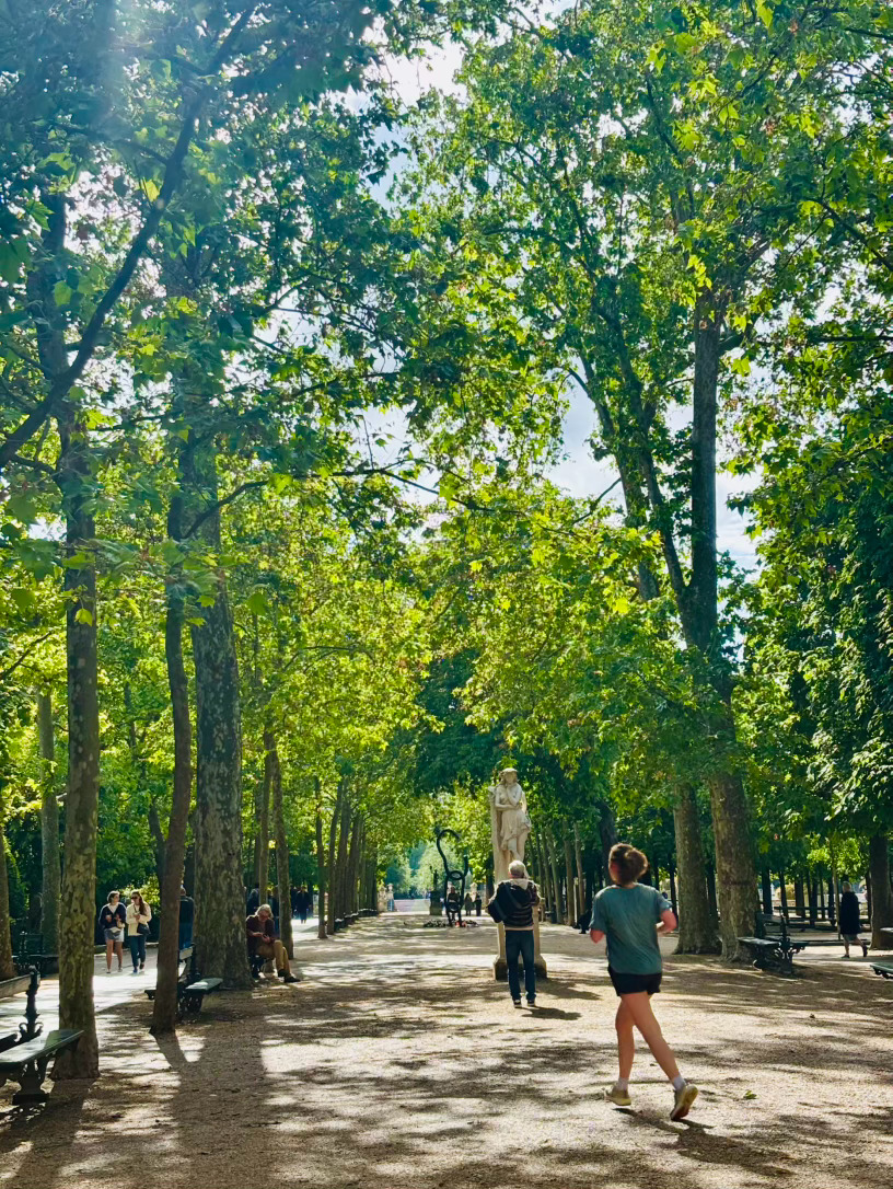 梁朝伟的朋友🌲 法国·巴黎