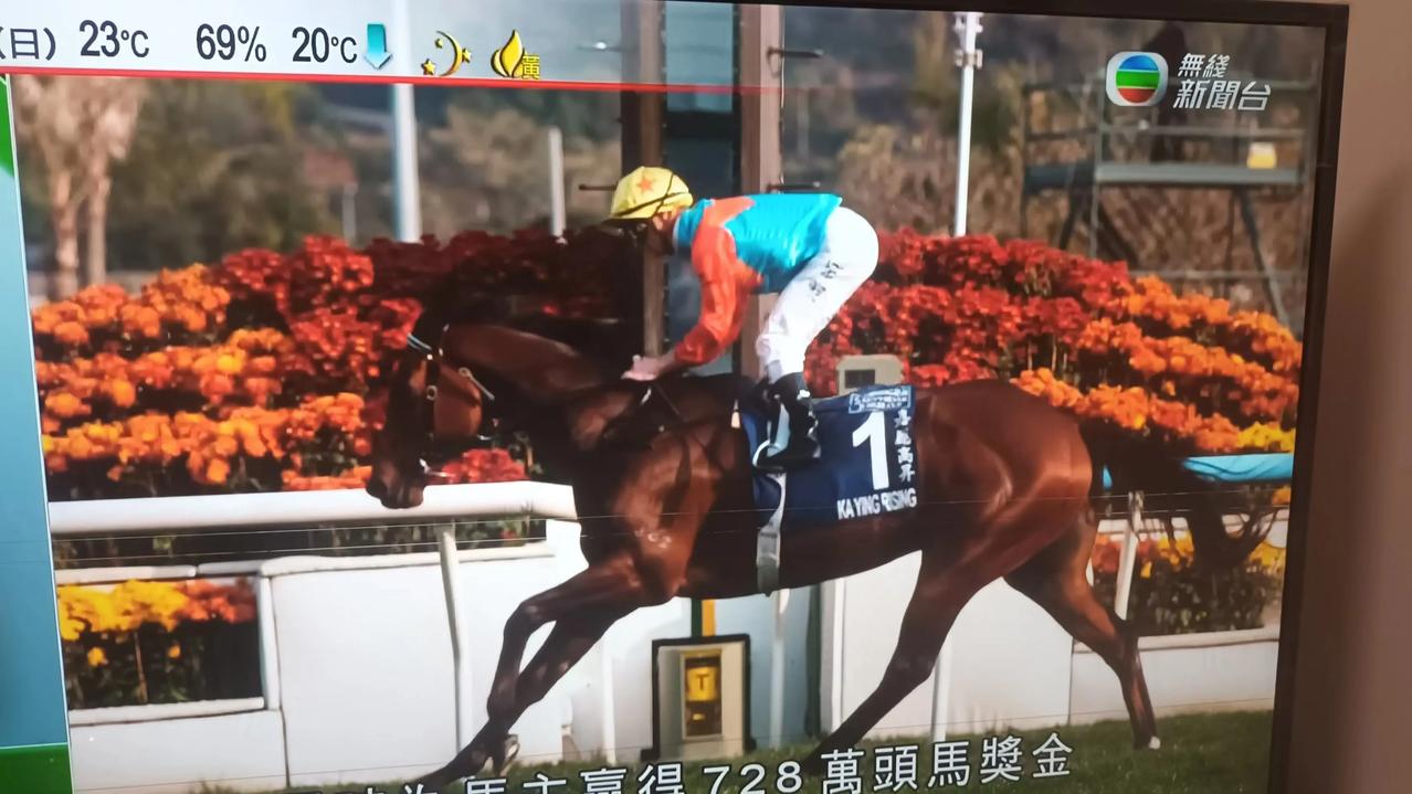 享誉世界马坛的“嘉应高升”今午以破记录时间1分19秒点36率先三个半马位完成1,