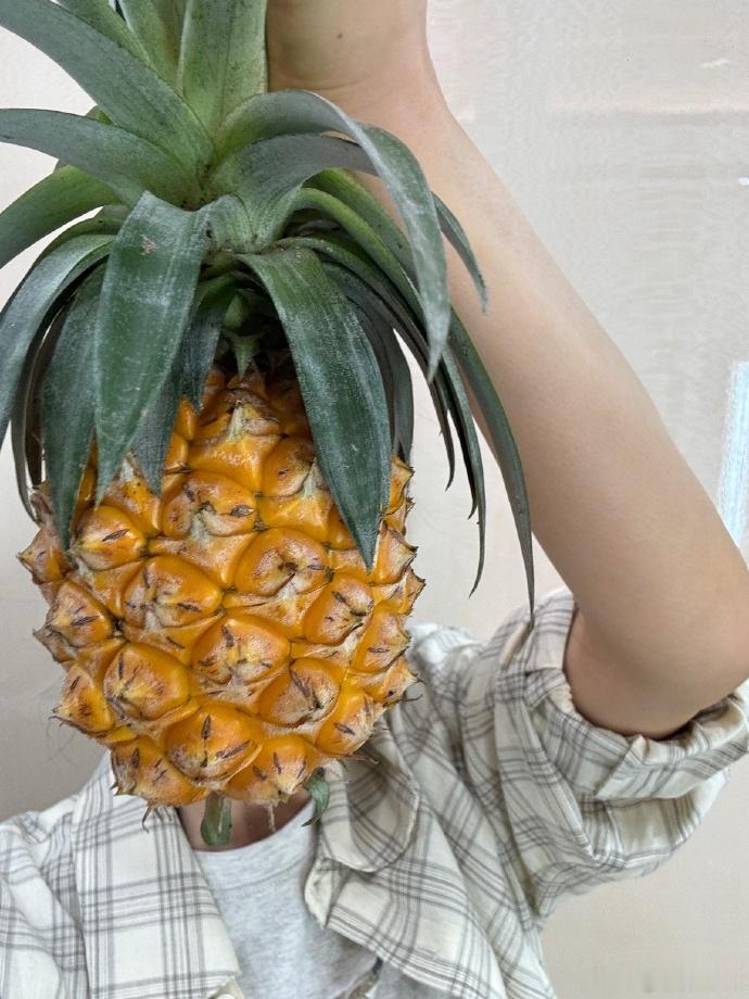 张婧仪菠萝头谁教张婧仪这么拍照的 菠萝头好可爱，拍照姿势很会 